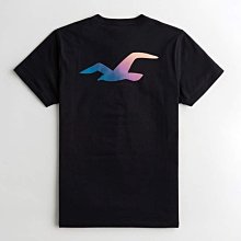 HCO Hollister 海鷗 短袖 T恤 現貨 印花 黑色