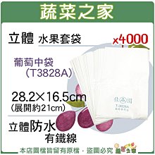 【蔬菜之家滿額免運】立體水果套袋-葡萄中袋(T3828)4000入/箱 28.2*16.5CM(展開約21CM)立體防水有鐵線※不適用郵寄掛號或超商配送