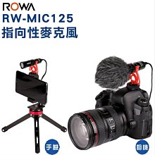 ROWA樂華 RW-MIC125 指向性麥克風