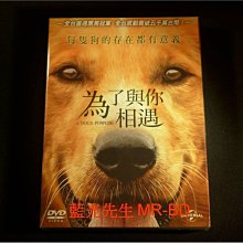 [DVD] - 為了與你相遇 A Dog’S purpose ( 傳訊公司貨 )