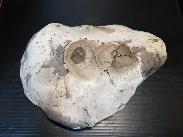 石在有趣~新石器時代/40公分龜甲石茶盤
