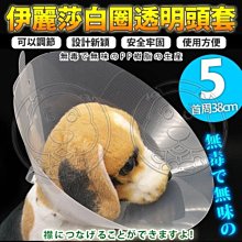 【🐱🐶培菓寵物48H出貨🐰🐹】dyy》伊麗莎白圈透明頭套5號38cm 特價88元(蝦)