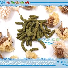 【魚店亂亂賣】美國ZOO MED水龜條狀飼料150g水蛙,蠑螈,螃蟹皆可使用 完美水龜飼料