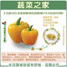 【蔬菜之家滿額免運00G65】大包裝.彩黃甜椒(黃色甜椒)種子0.9克(約95顆)※此商品不適用郵寄掛號※