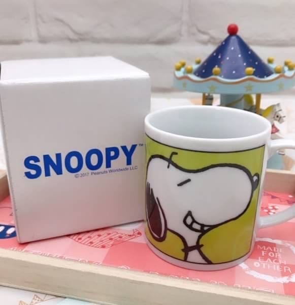 正版授權 日本帶回 花生漫畫 SNOOPY 史努比 糊塗塌客 綠款 陶瓷杯 馬克杯 單耳杯 咖啡杯 牛奶杯 玻璃杯 杯子 水杯