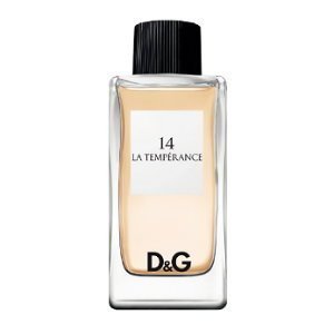 《尋香小站 》D&G Dolce&Gabbana Fragrance 14號  100ml 全新正品