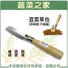 【蔬菜之家滿額免運009-B52】豆菜草也(移植鏝.穴植鏟.豆子鏟 豆鏟)※此商品運費請選宅配※