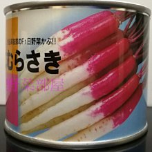 【野菜部屋~蔬菜種子】I41 日本紅白長型無菁種子3公克(約1100粒) ,F1品種 , 肉質細密 ,每包160元 ~