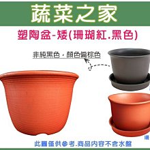 【蔬菜之家滿額免運005-L058】塑陶盆10號-矮 (珊瑚紅.黑色共2色)※此商品運費請選宅配※