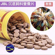 微笑的魚水族☆JBL-珍寶【NovoTab 沉底飼料營養片(黏貼) 1個/散售】