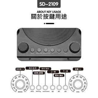 台灣合格 SD2109加碼送快充頭 雙人合唱KTV sdrd貓頭鷹 無線麥克風 露營 會議主持  藍芽音響升級版