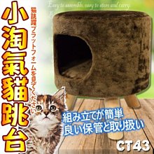 【🐱🐶培菓寵物48H出貨🐰🐹】寵愛物語doter》CT43貓咪玩樂小淘氣貓跳台 特價1030元