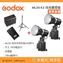附電池+充電器+腳架 神牛 Godox ML30-K2 白光雙燈組 豪華套餐 LED攝影燈 公司貨 外拍燈 持續燈 棚拍