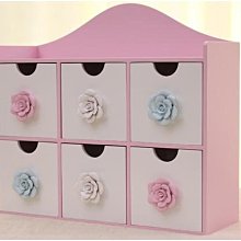 粉紅玫瑰精品屋~玫瑰桌面整理盒 韓國時尚首飾收納盒~