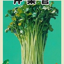 【野菜部屋~】P03 芹菜管種子4公克 , 又稱~粗管芹菜 , 每包15元~
