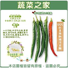 【蔬菜之家滿額免運】G55.紅美辣椒種子8顆(一代交配，中早熟品種，葉濃綠色，果型細長，連續結果力強，生長旺盛，產值高)