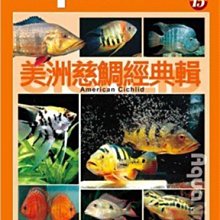 微笑的魚水族☆AquaNet (15) 美洲慈鯛經典輯--展新文化出版【工具書】