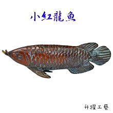 商品縮圖-2