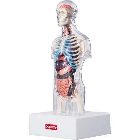 現貨全新Supreme Anatomy Model 人體解剖模型(一組另有優惠) 類KAWS 半