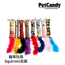 PetCandy 貓草玩具 Squirrels松鼠 耐磨 貓玩具 隨機出貨不挑款