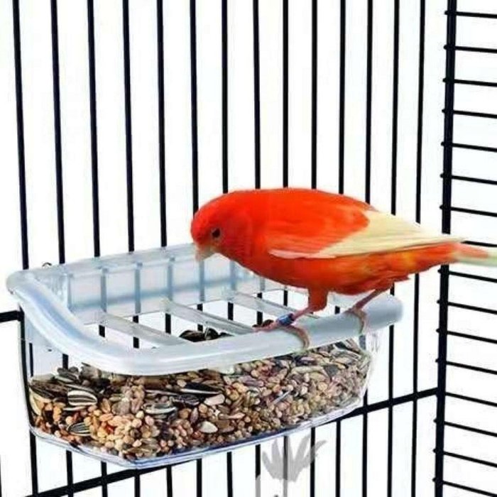 歐款小型寵物鳥鸚鵡專用內掛餵食盒 鳥食盒 鳥具防賤食盒