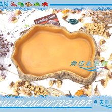 【魚店亂亂賣】REPTI ZOO餵食盤M食盆/飼料盆.淺水盤兩棲爬蟲AERB10M仿真木紋樹脂