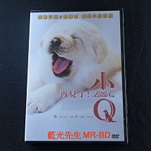 [DVD] - 再見了！小Q Little Q ( 海樂正版 )