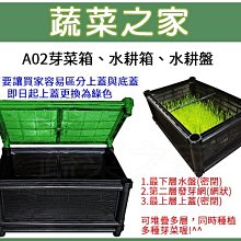 【蔬菜之家滿額免運005-A30】A02芽菜箱、水耕箱、家庭式多用途芽菜培育箱※此商品運費請選擇宅配貨運※