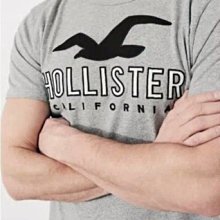 HCO Hollister 海鷗 短袖 T恤 現貨 貼布刺繡logo 淺灰