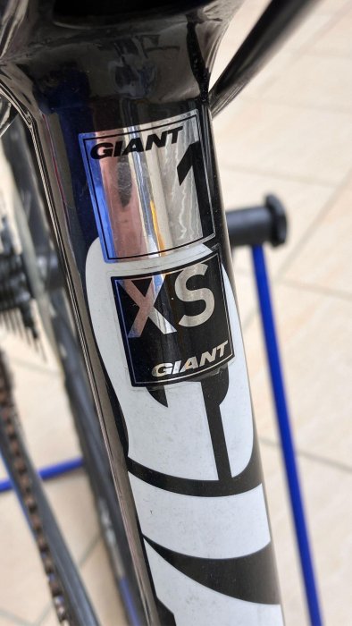 二手八成新-捷安特 GIANT Anyroad 1 碟煞 SHIMANO TIAGRE 20速公路車