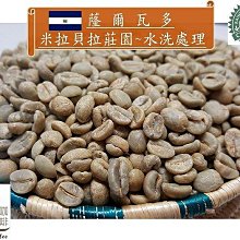 新到貨【一所咖啡】蕯爾瓦多 米拉貝拉莊園 單品咖啡生豆 零售:455元/公斤
