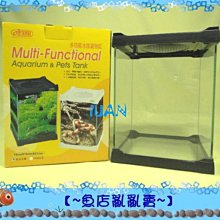 【~魚店亂亂賣~】ISTA伊士達EI-069多功能水族寵物缸黑色L號16×16×21cm(可當鬥魚缸層層堆疊)