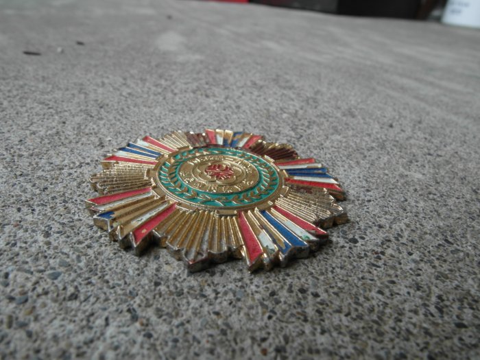 慶祝第一屆榮民節徽章----直徑4公分---埔里榮民醫院製---國軍