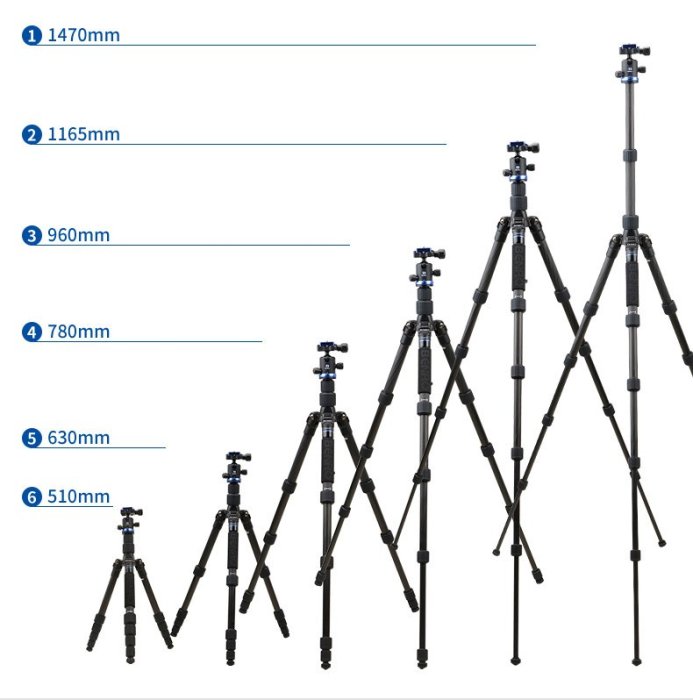 【中壢NOVA-水世界】百諾 BENRO IF19C 碳纖維三腳架 可拆單腳架 收納34.8cm 載重8公斤 公司貨