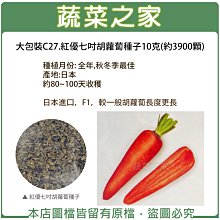 【蔬菜之家滿額免運00C27】大包裝紅優七吋胡蘿蔔種子10克(約3900顆)(蔬菜種子)※此商品運費請選宅配※