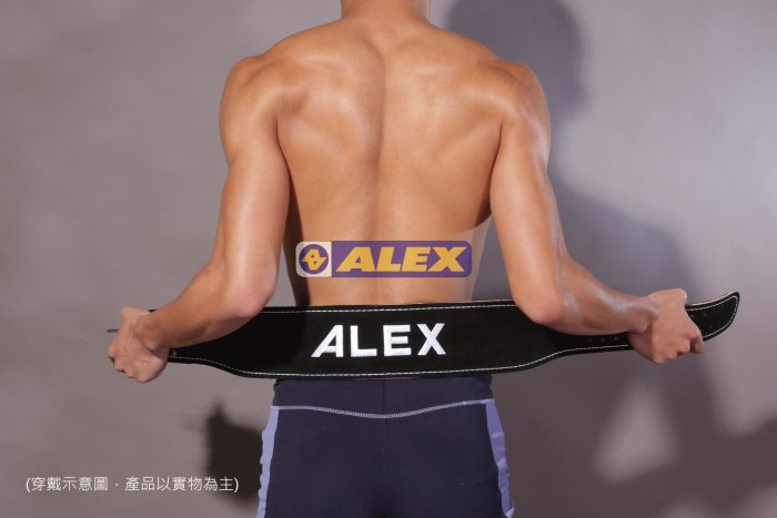 【斯伯特】ALEX 丹力 A-35 牛皮腰帶 重訓腰帶 硬舉 深蹲 腰帶 保護腰部 M號 31-41腰適用