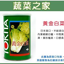 【蔬菜之家滿額免運00A69】大包裝.黃金白菜種子50克(約20000顆) (日本進口.蔬菜種子)