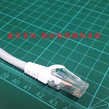 威宏資訊 網路規劃施工 大同 Cat.6 UTP 50μ 接頭 護套 RJ-45 ADSL 第四台 3米 網路線