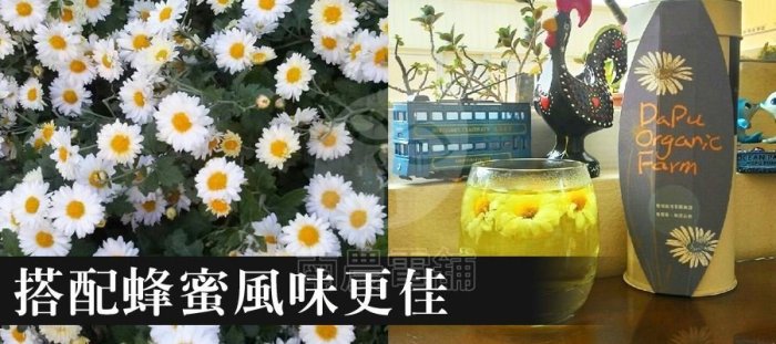 『南農電舖』　有機菊花茶　棚架式有機栽種　 通過CAS及環球國際有機雙認證/ 有機乾燥杭菊