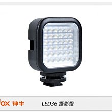 ☆閃新☆GODOX 神牛 LED 36 攝影燈 AA電池供電 (LED36,公司貨)