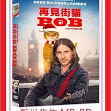 [藍光先生DVD] 再見街貓BOB A Gift from Bob (采昌正版)
