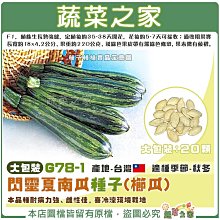 【蔬菜之家滿額免運】大包裝G78-1.閃靈夏南瓜種子20顆 (櫛瓜) F1  植株生長勢強健，本品種耐病力強、雌性佳 ※不適用郵寄