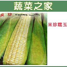 【蔬菜之家滿額免運】G05.美珍(珍珠糯玉米)種子20顆(穗細長，Q甜，易照顧，產量多.蔬菜種子)