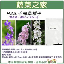 【蔬菜之家滿額免運】H25.千鳥草種子0.05克(約60顆)(混合色，高90~120cm.花卉種子)