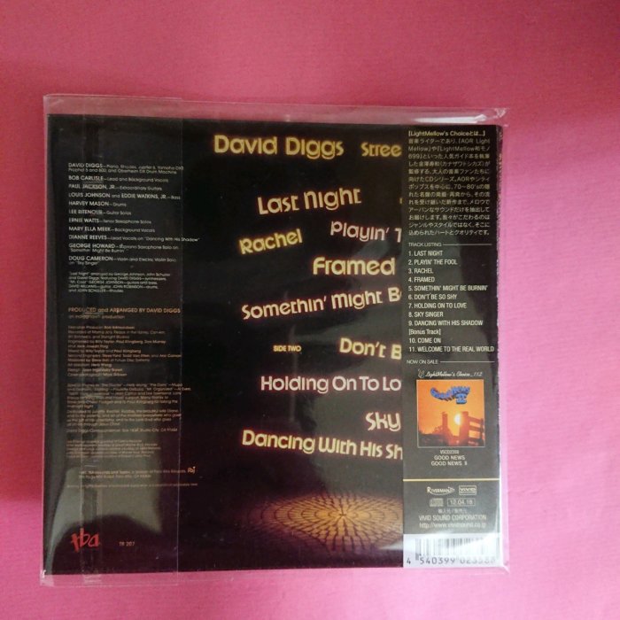 David Diggs Streetshadows 日本Mini LP CD AOR 搖滾 S2 VSCD-2358