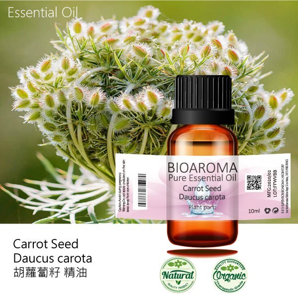 【芳香療網】胡蘿蔔籽精油Carrot Seed - Daucus carota 10ml