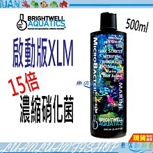 【魚店亂亂賣】美國BWA  15倍濃縮硝化菌500ml 啟動版XLM  活缸啟動劑BRIGHTWELL AQUATICS