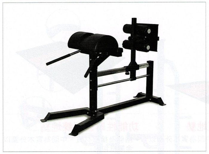 "爾東體育" 專業羅馬椅訓練架 核心訓練 肌力訓練