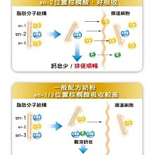 商品縮圖-6