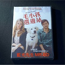[DVD] - 毛小孩選邊站 Who Gets the Dog ( 得利公司貨 )